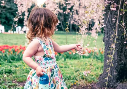 primavera